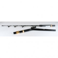 DAIWA SALTIGA G DENDOH SAG56XXHR STYLE ROD 